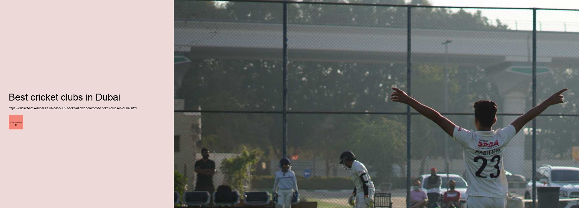 Cricket Nets in Dubai: A Hub for Professional Training and Recreational Fun