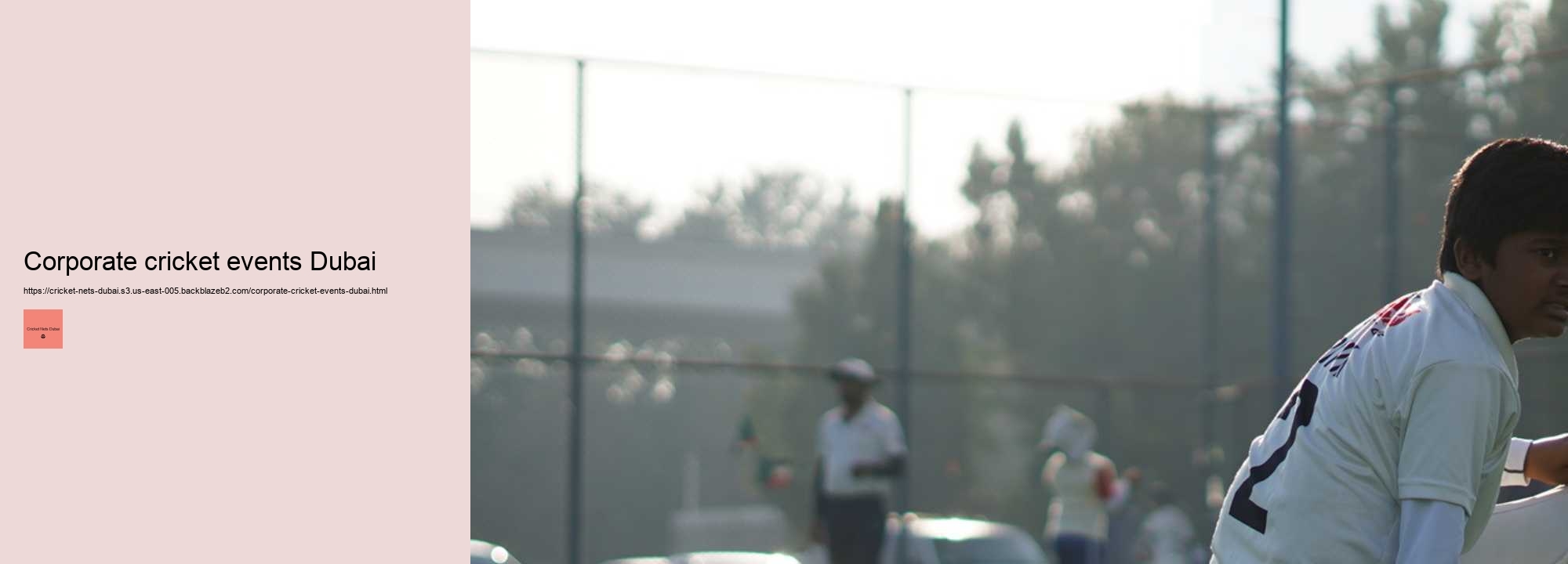 What is Making Waves in the World of Cricket Training? Explore Cricket Nets Dubai!