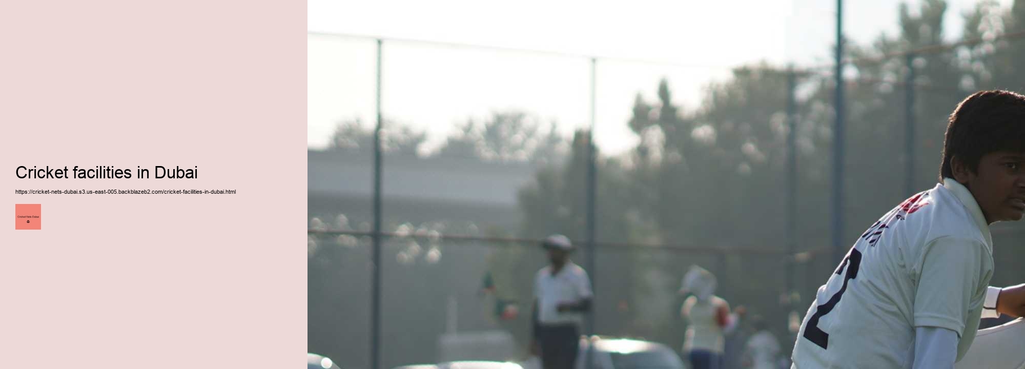 Wondering How to Improve your Batting? Invest in Cricket Nets in Dubai