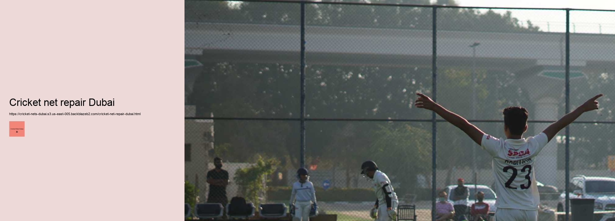 The Influence of International Players on the Popularity of Cricket Nets in Dubai.