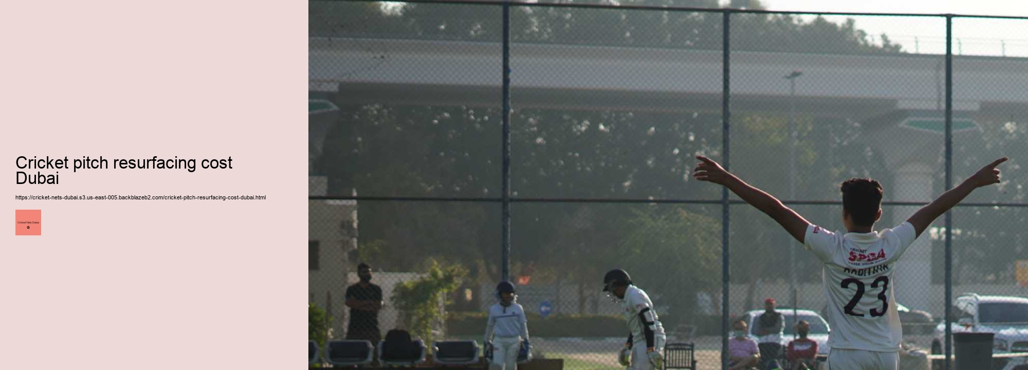 What is Making Cricket Training More Efficient in Dubai? Unveiling the Role of Cricket Nets!