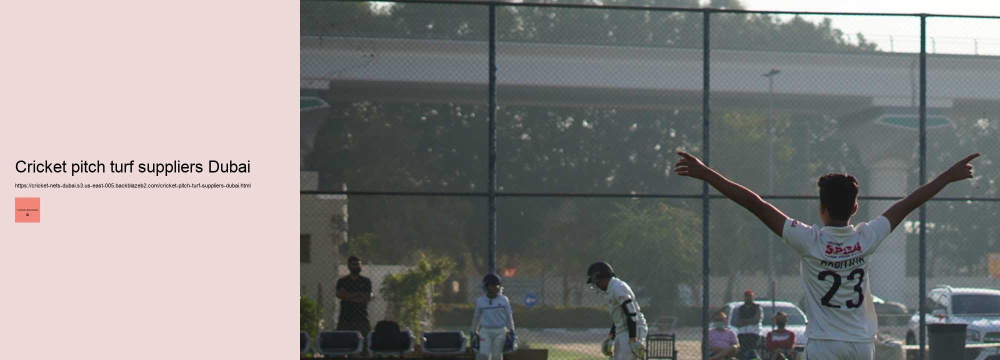 Events & Tournaments at Cricket Nets Facilities in Dubai: Write about any upcoming tournaments or events happening at these venues, how to participate, what they entail etc., to engage readers who are cricket fans.